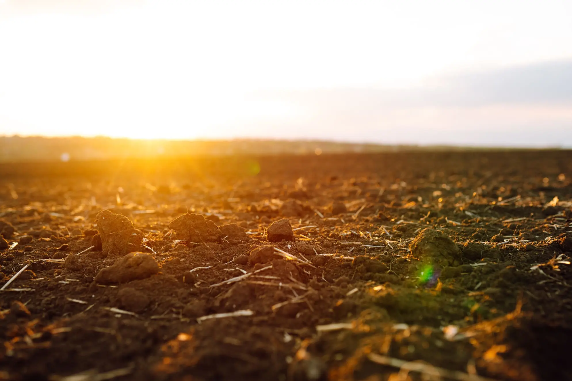 Fertilizer production