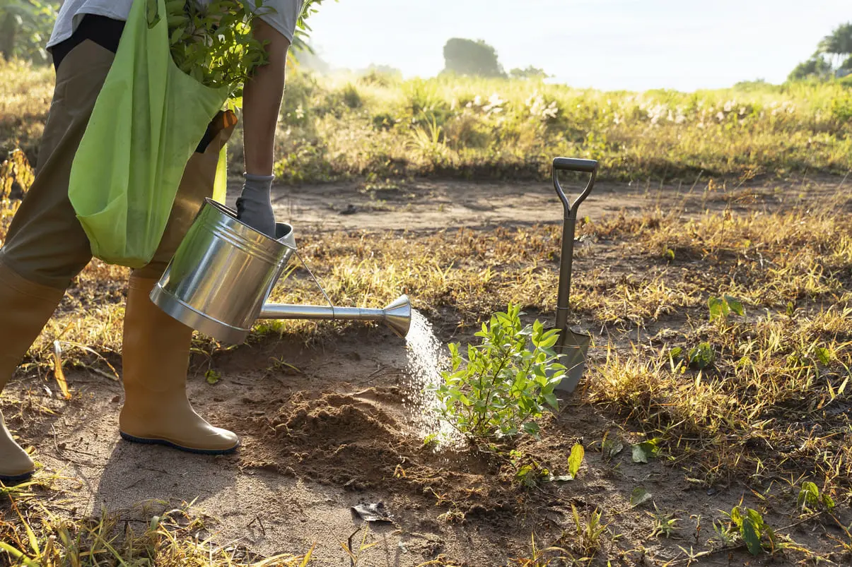 Soil Fertilizer