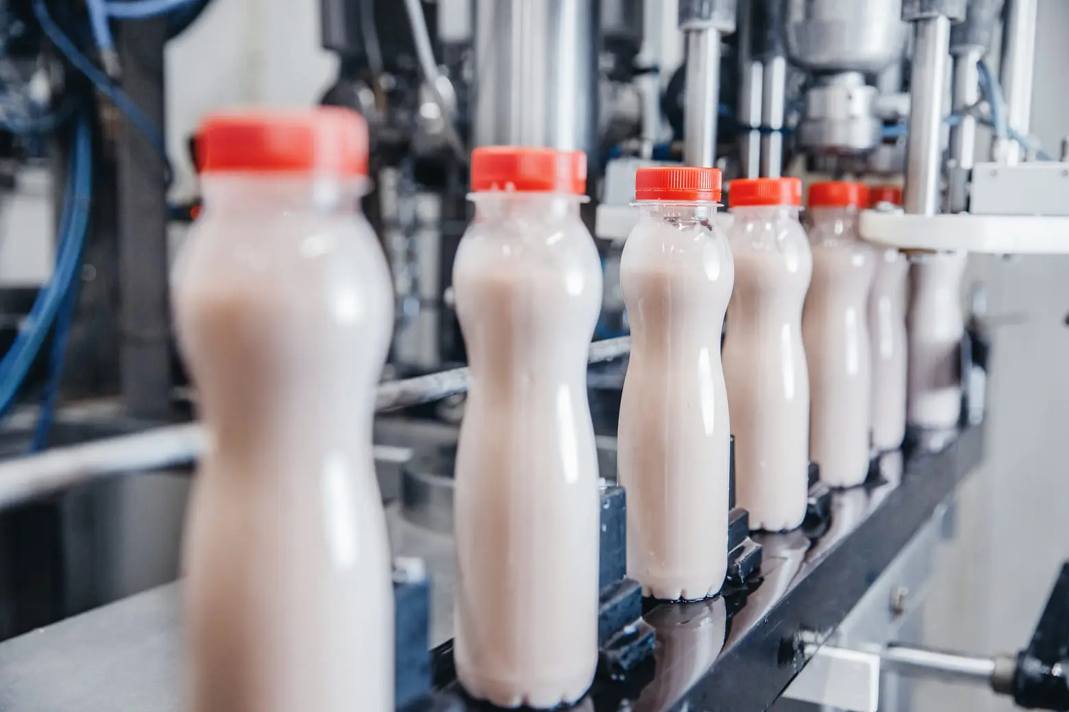 Dairy production